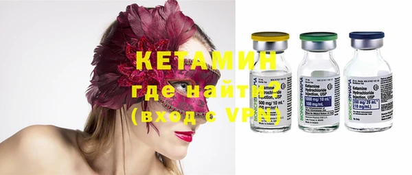 шишки Абаза