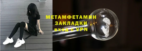 шишки Абаза