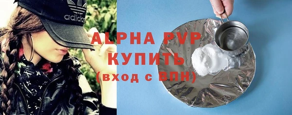 гашик Болхов